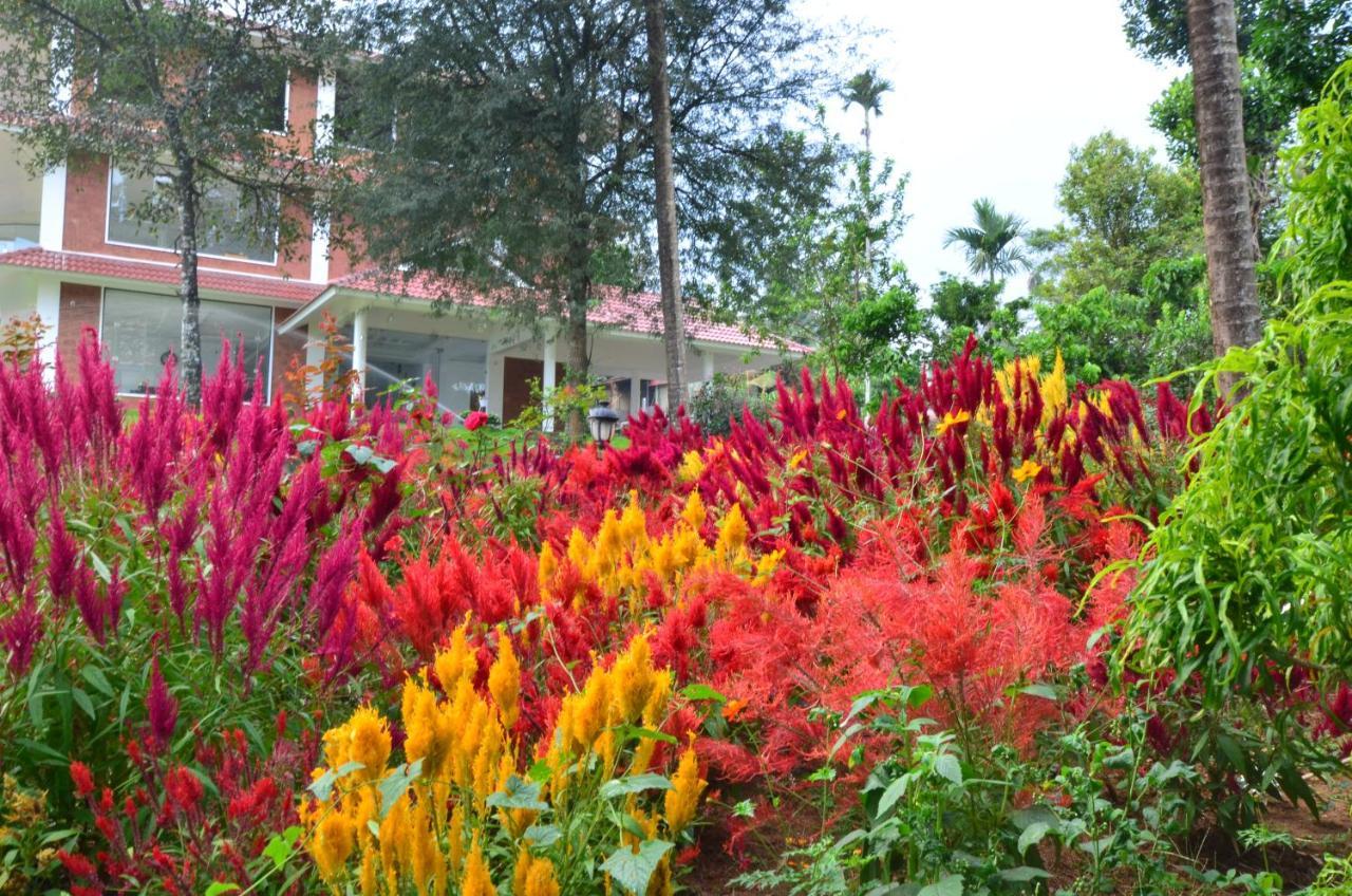 Lakerose Wayanad Resort Ambalavayal Exterior photo